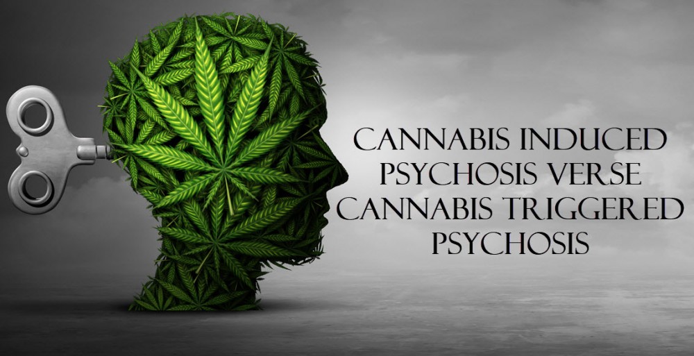 cannabis psychosis